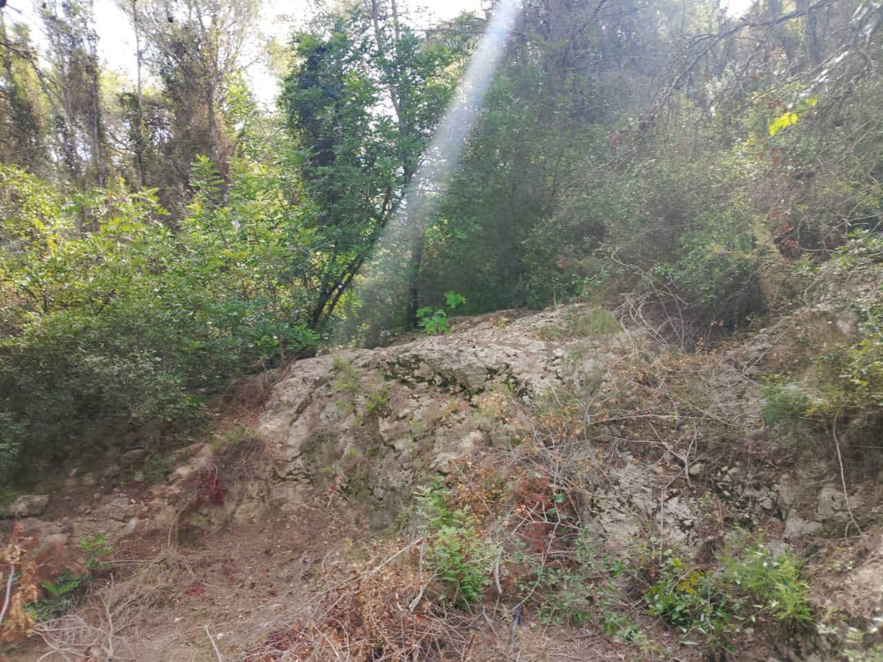 Undeveloped Land for sale in Palma de Gandia - € 70,000 (Ref: 9533063)