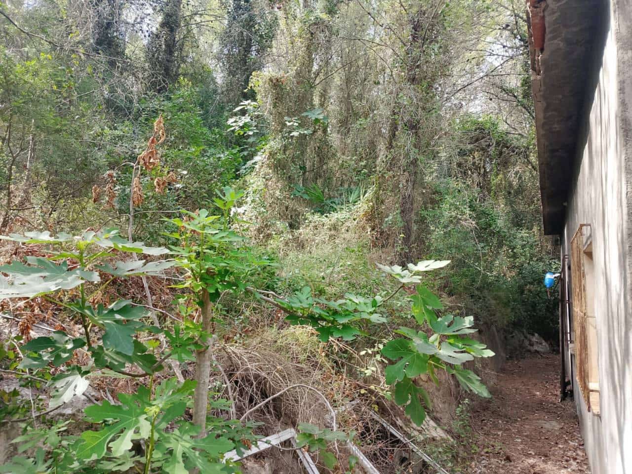 Undeveloped Land for sale in Palma de Gandia - € 70,000 (Ref: 9533063)