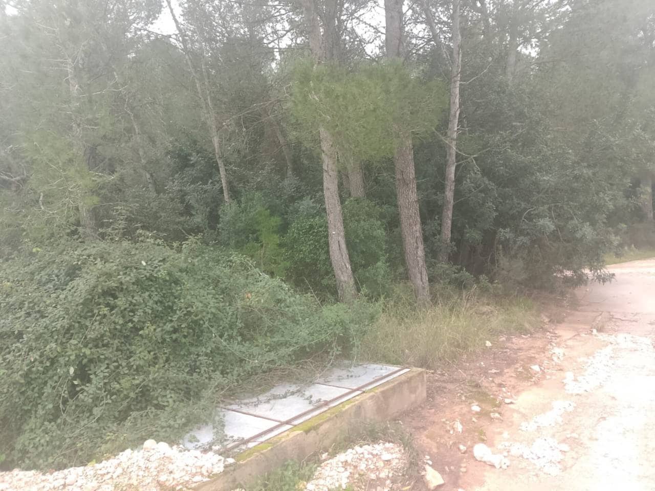 3 bedroom Finca/Country House for sale in Palma de Gandia with garage - € 70,000 (Ref: 9533064)