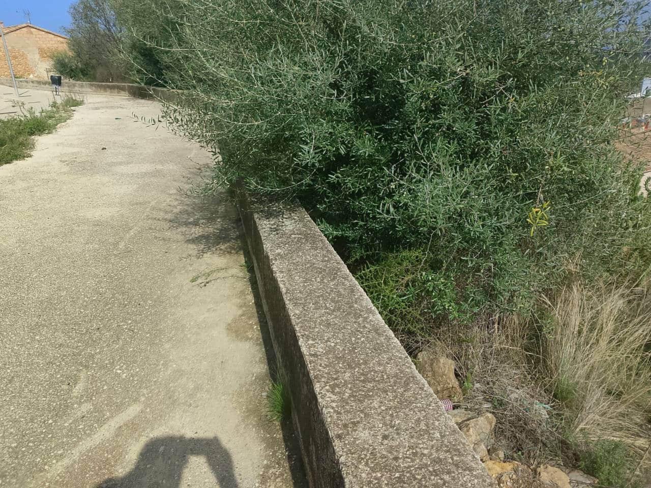 Byggetomt til salgs i Ador - € 34 900 (Ref: 9550468)