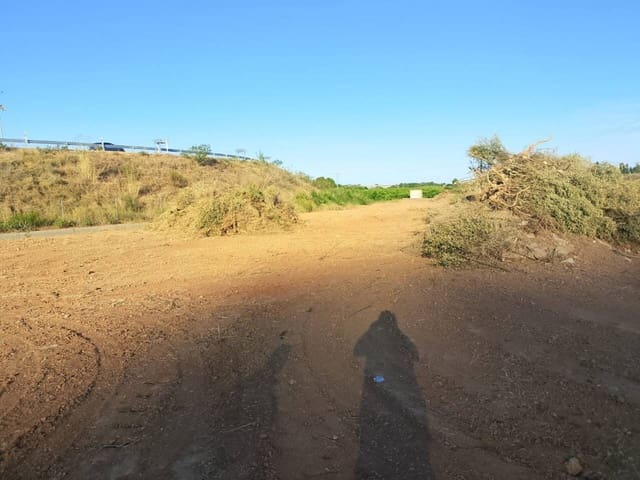 Mark till salu i Oliva - 10 000 € (Ref: 9570336)