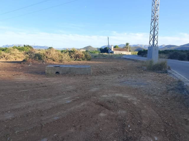 Mark till salu i Oliva - 10 000 € (Ref: 9570336)