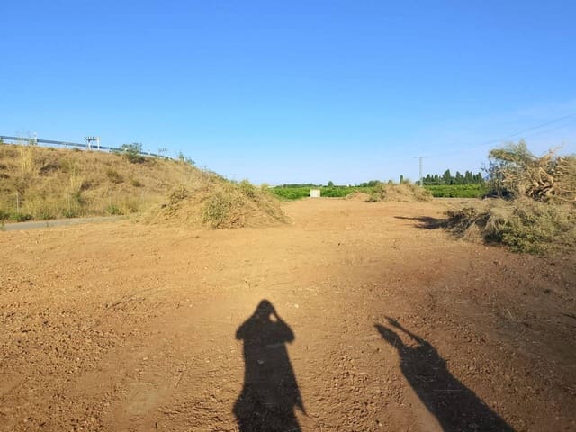 Mark till salu i Oliva - 10 000 € (Ref: 9570336)