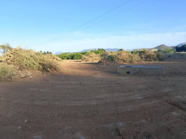 Mark till salu i Oliva - 10 000 € (Ref: 9570336)