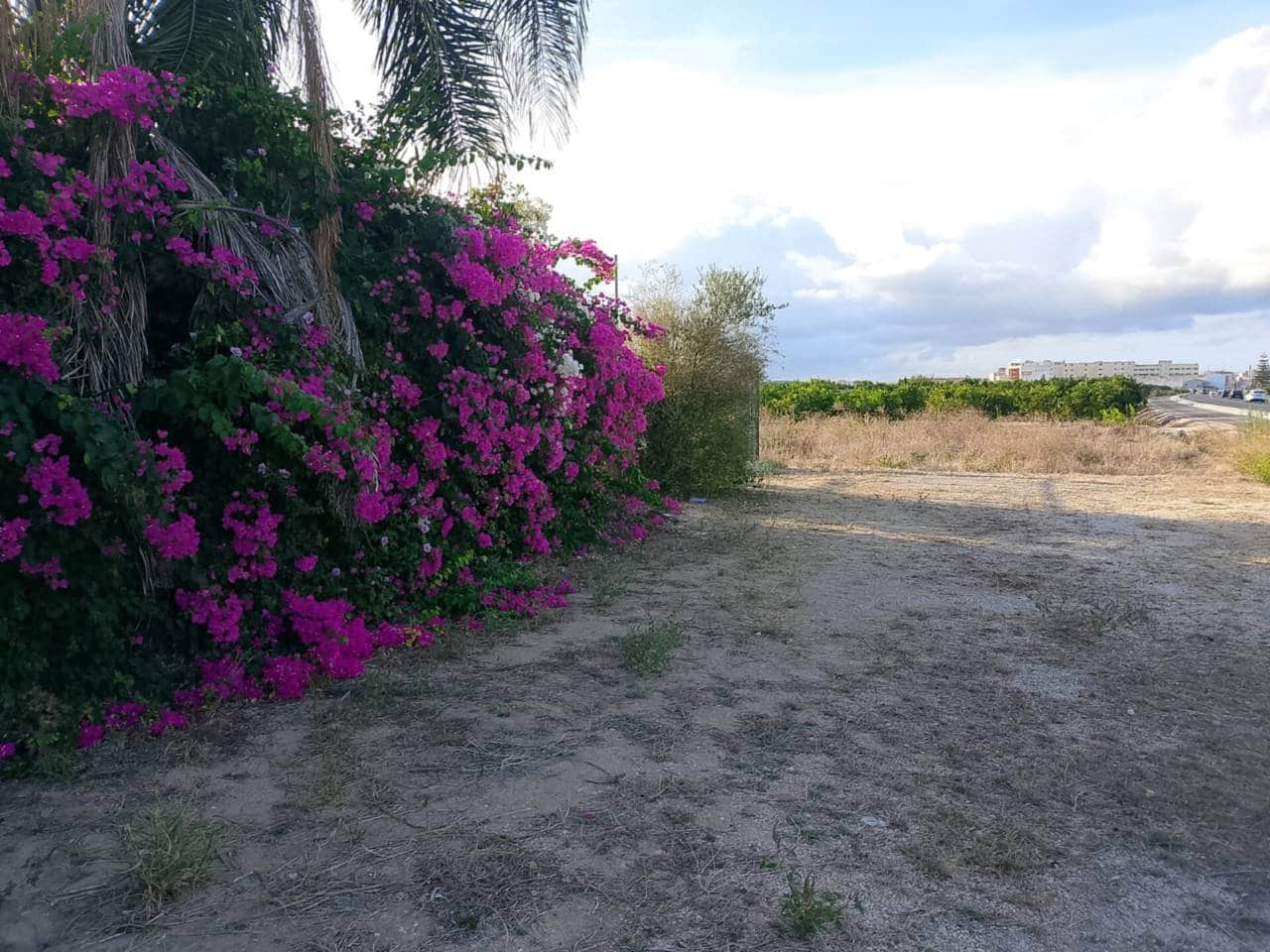 Undeveloped Land for sale in Piles - € 40,000 (Ref: 9602422)