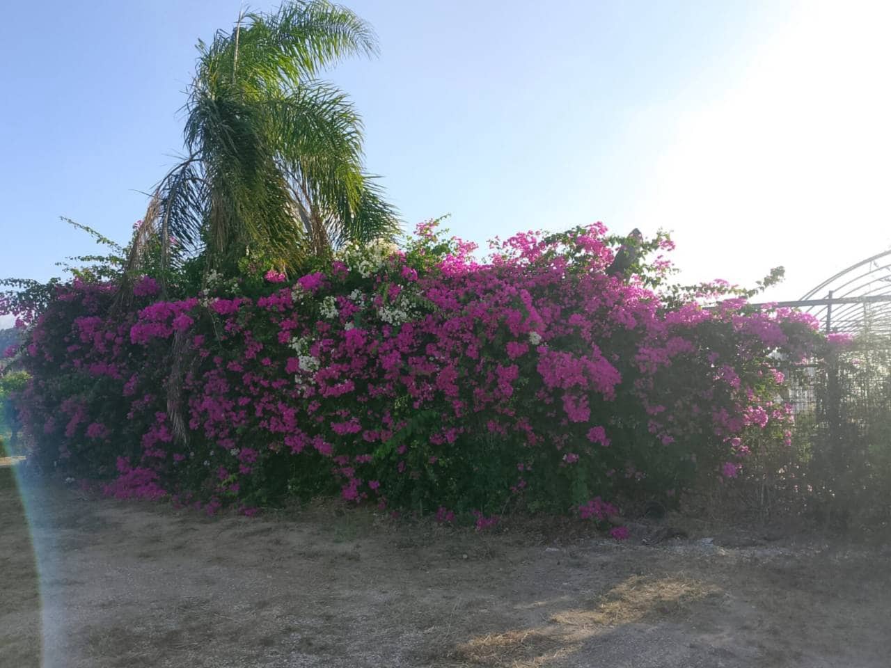 Undeveloped Land for sale in Piles - € 40,000 (Ref: 9602422)