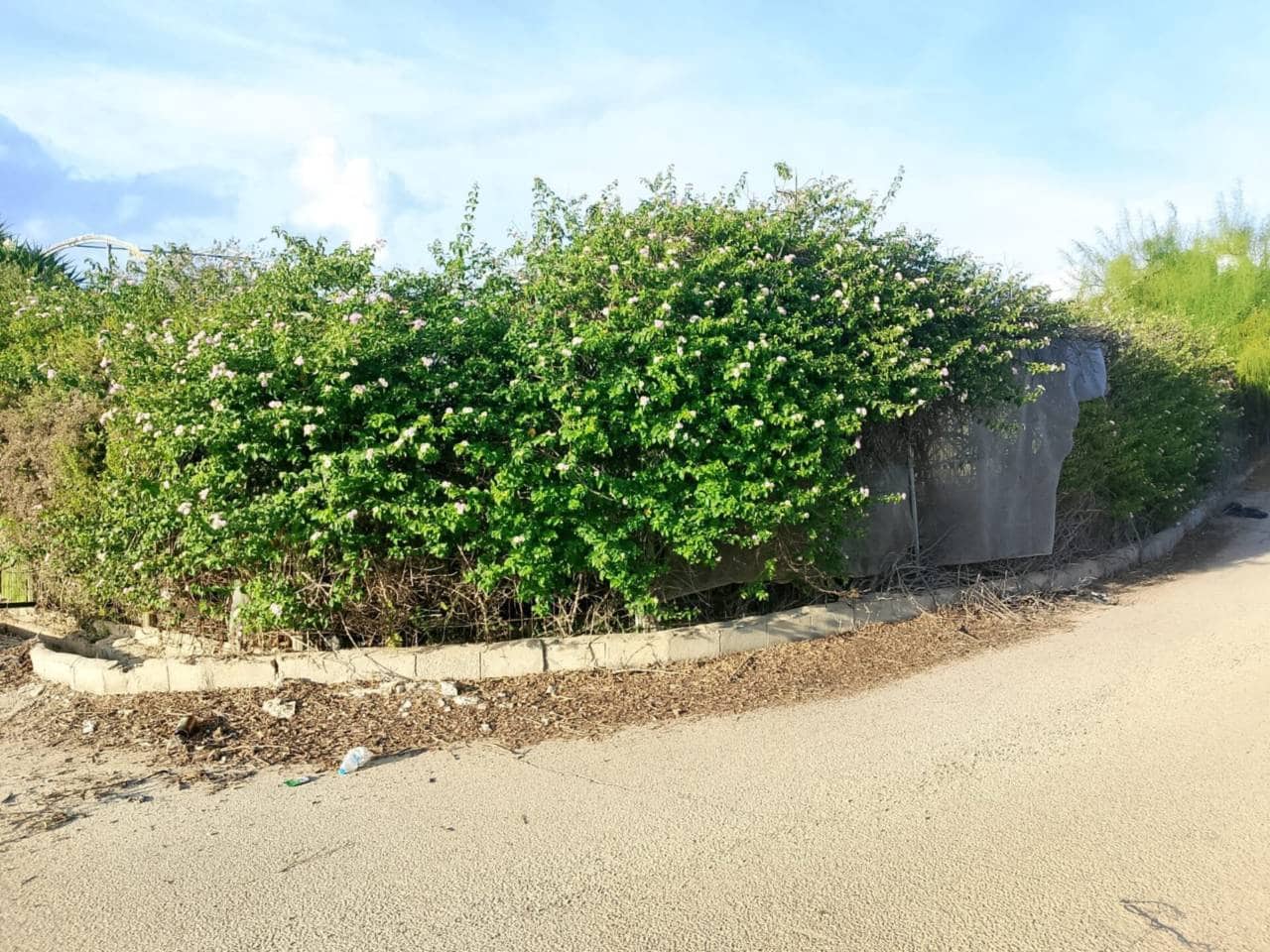 Undeveloped Land for sale in Piles - € 40,000 (Ref: 9602422)