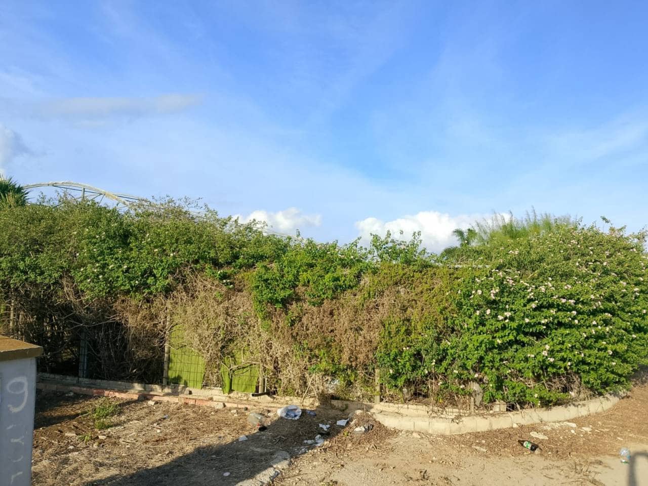 Undeveloped Land for sale in Piles - € 40,000 (Ref: 9602422)