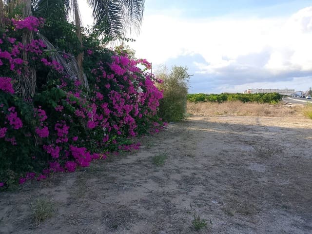 Undeveloped Land for sale in Piles - € 40,000 (Ref: 9602422)