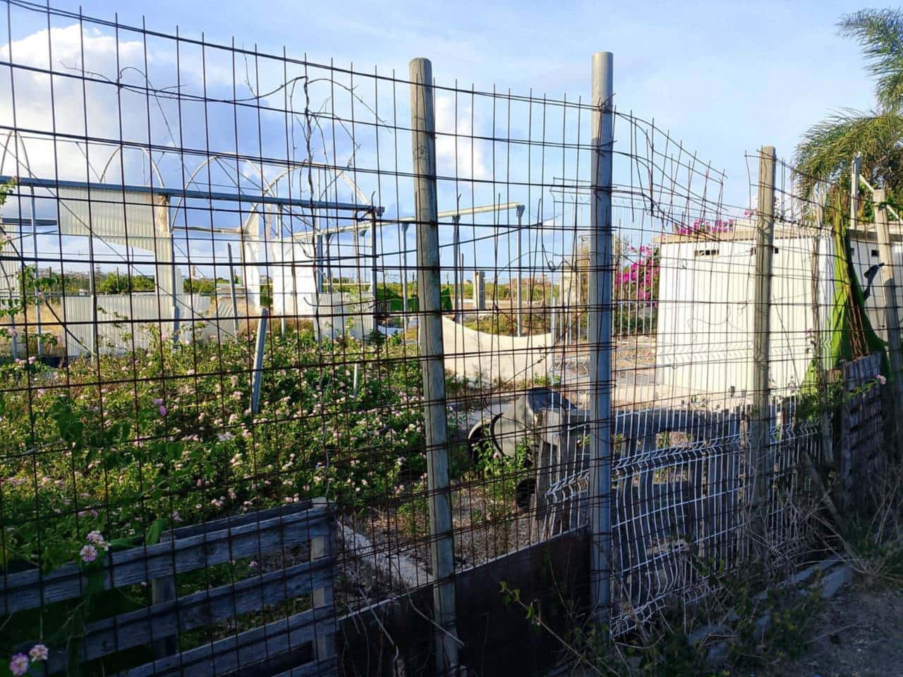 Undeveloped Land for sale in Piles - € 40,000 (Ref: 9602422)