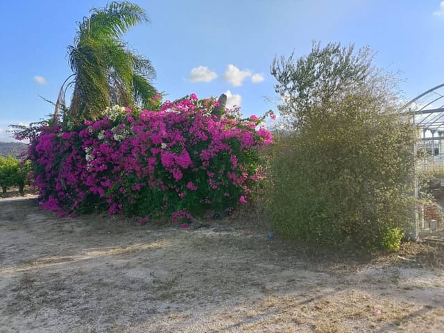 Undeveloped Land for sale in Piles - € 40,000 (Ref: 9602422)