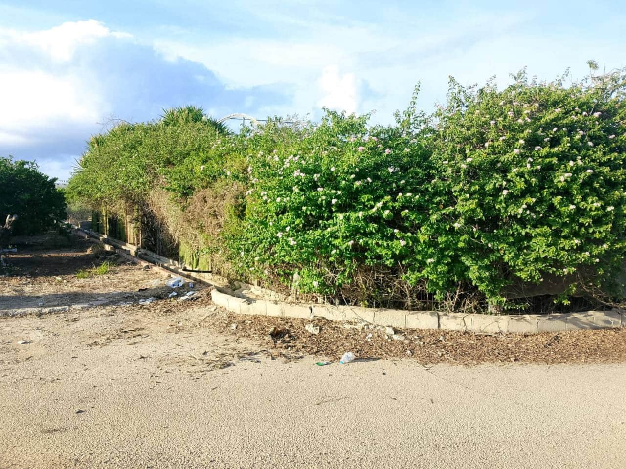 Undeveloped Land for sale in Piles - € 40,000 (Ref: 9602422)