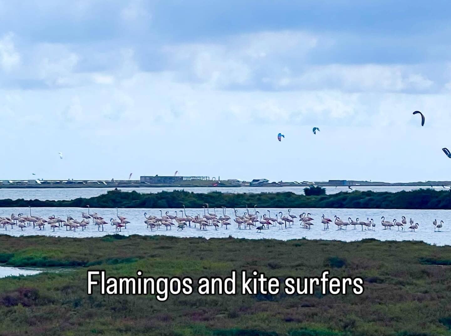 4 soveværelse Villa til salg i L'Ampolla med swimmingpool garage - € 390.000 (Ref: 9306955)