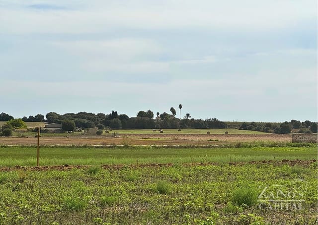 Finca/Casa di Campagna in vendita in Vilafranca de Bonany - 189.000 € (Rif: 9308720)