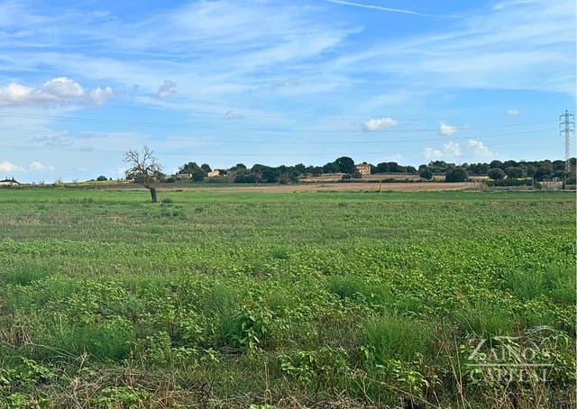 Finca/Casa di Campagna in vendita in Vilafranca de Bonany - 189.000 € (Rif: 9308720)