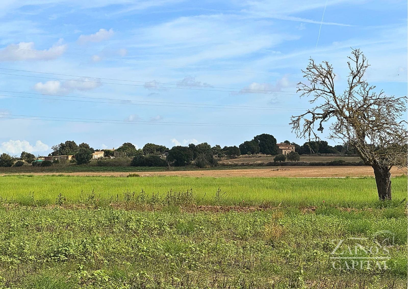 Finca/Casa di Campagna in vendita in Vilafranca de Bonany - 189.000 € (Rif: 9308720)