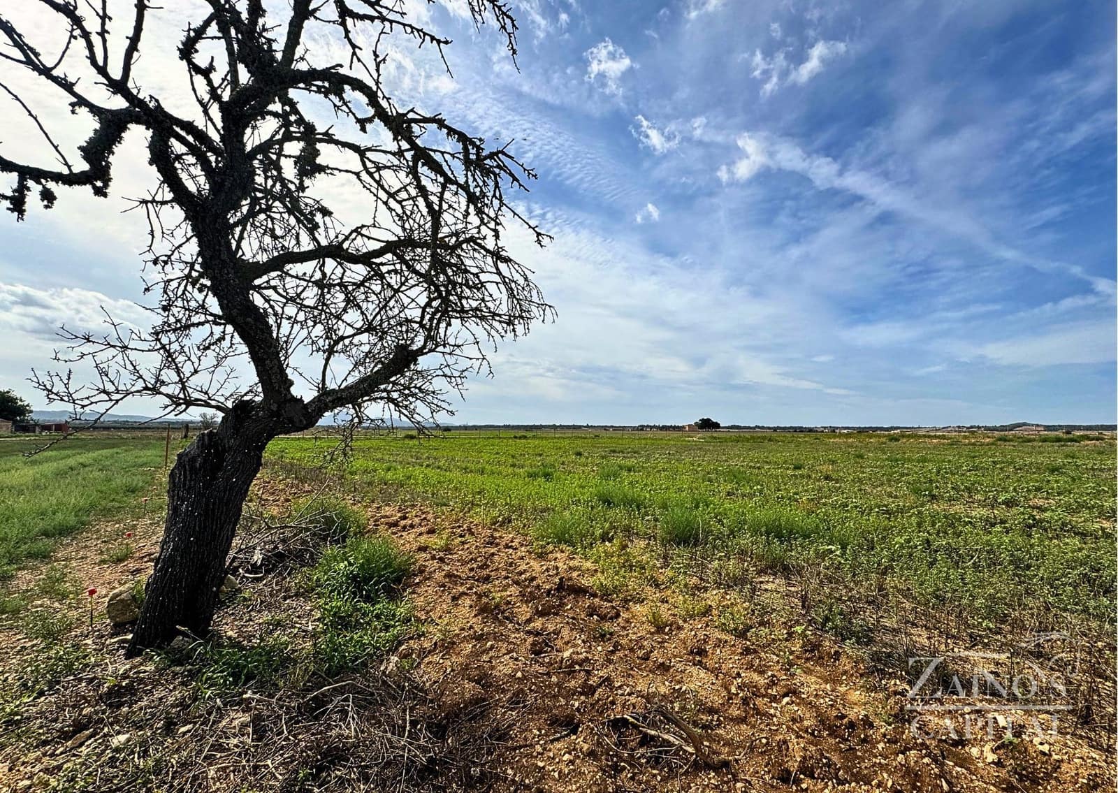 Finca/Casa di Campagna in vendita in Vilafranca de Bonany - 189.000 € (Rif: 9308720)