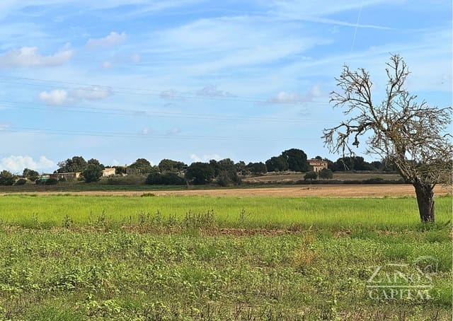 Finca/Casa di Campagna in vendita in Vilafranca de Bonany - 189.000 € (Rif: 9308720)