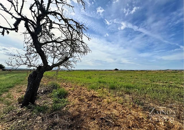 Finca/Casa di Campagna in vendita in Vilafranca de Bonany - 189.000 € (Rif: 9308720)
