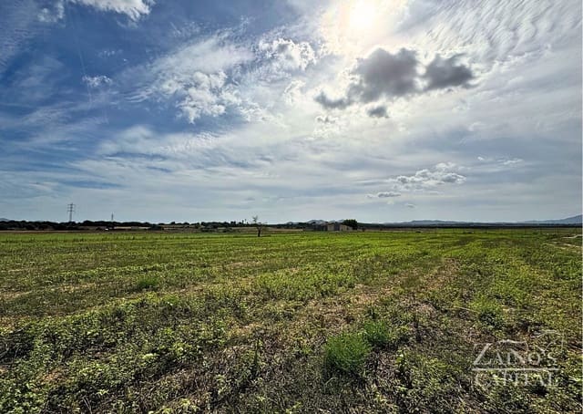 Finca/Casa di Campagna in vendita in Vilafranca de Bonany - 189.000 € (Rif: 9308720)