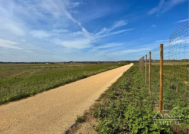 Finca/Casa di Campagna in vendita in Vilafranca de Bonany - 189.000 € (Rif: 9308720)