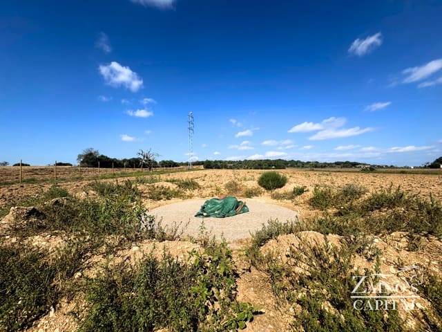 Finca/Casa di Campagna in vendita in Vilafranca de Bonany - 189.000 € (Rif: 9308720)
