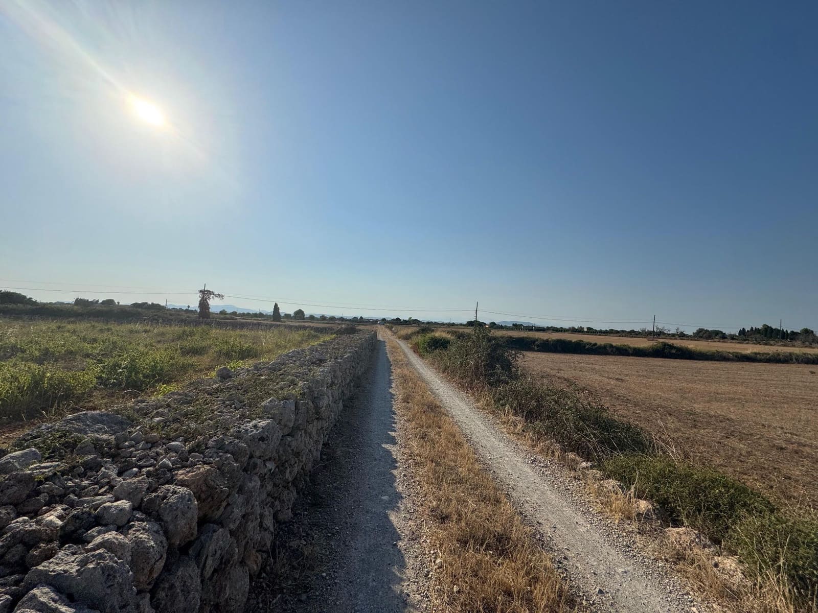 Finca/Casa Rural en Felanitx en venta - 179.000 € (Ref: 9441241)