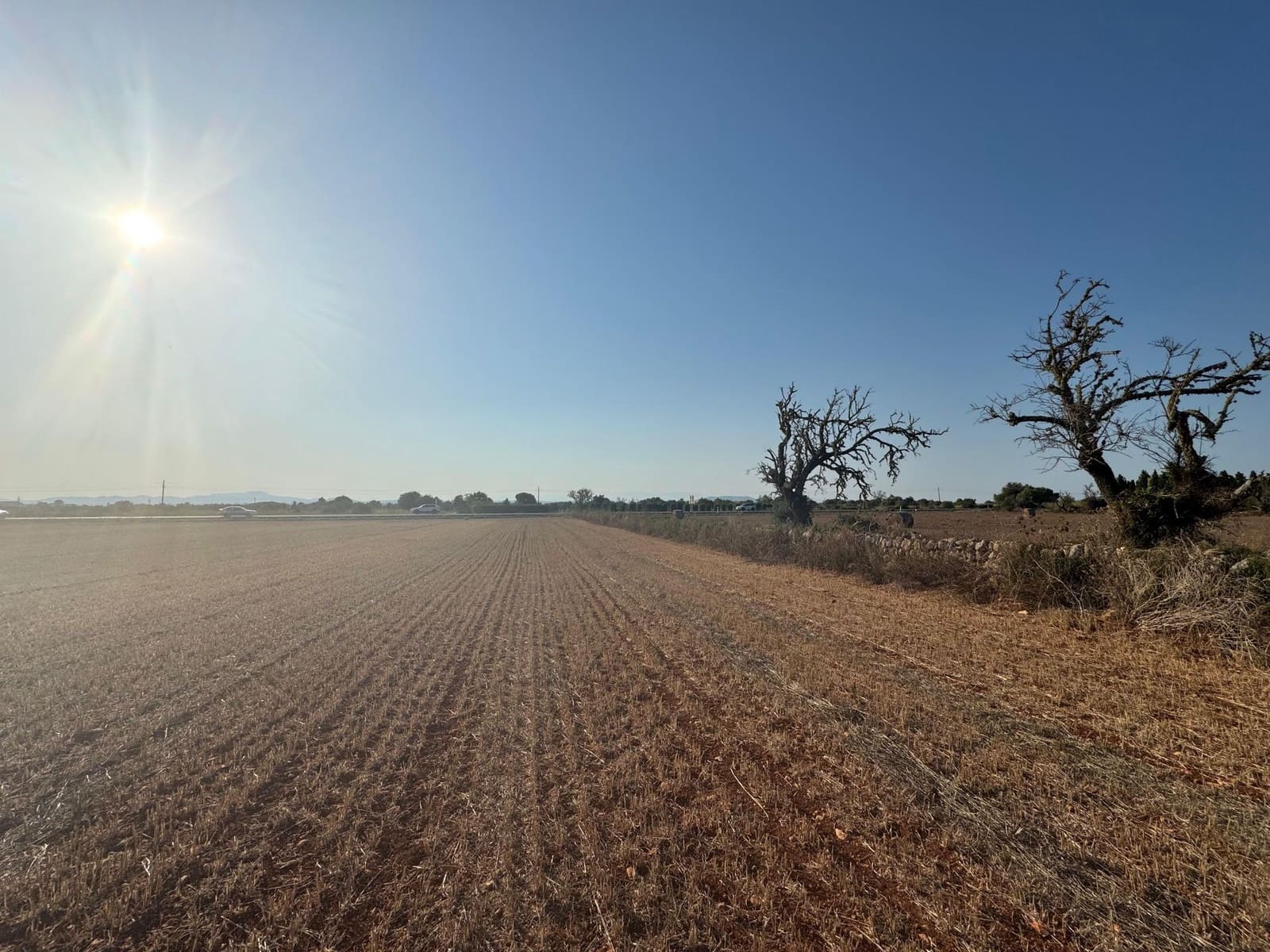 Finca/Casa Rural en Felanitx en venta - 179.000 € (Ref: 9441241)