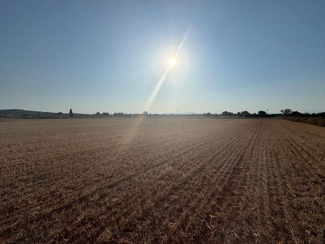 Finca/Casa Rural en Felanitx en venta - 179.000 € (Ref: 9441241)