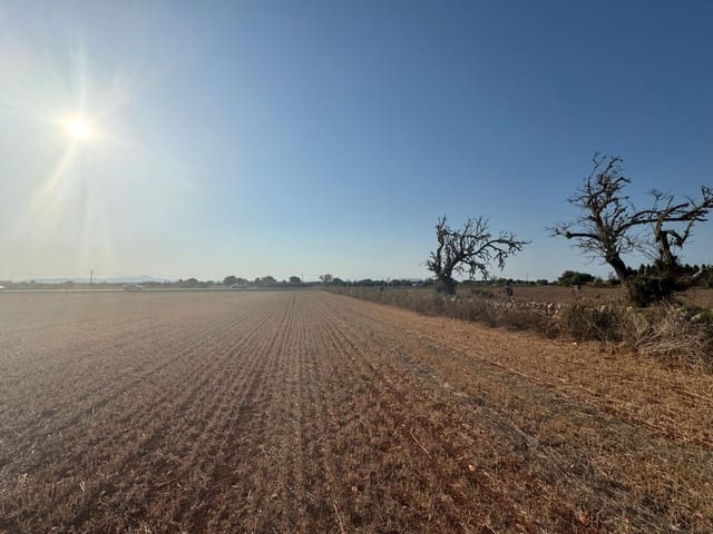 Finca/Casa Rural en Felanitx en venta - 179.000 € (Ref: 9441241)