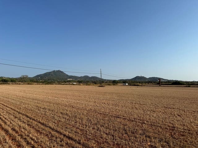 Finca/Casa Rural en Felanitx en venta - 179.000 € (Ref: 9441241)