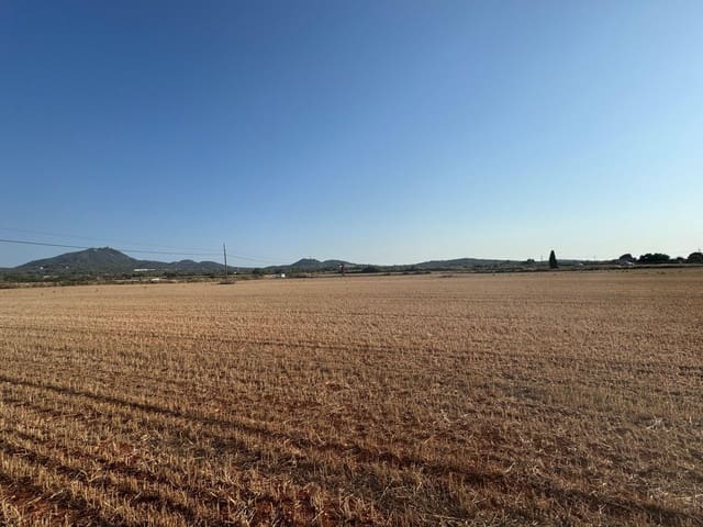 Finca/Casa Rural en Felanitx en venta - 179.000 € (Ref: 9441241)