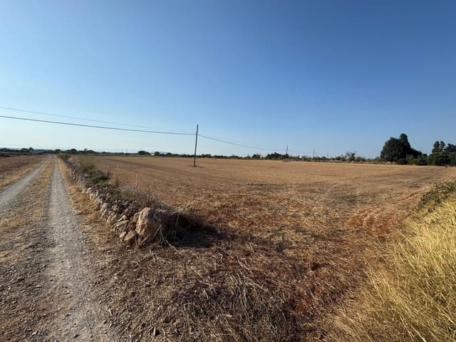 Finca/Casa Rural en Felanitx en venta - 179.000 € (Ref: 9441241)