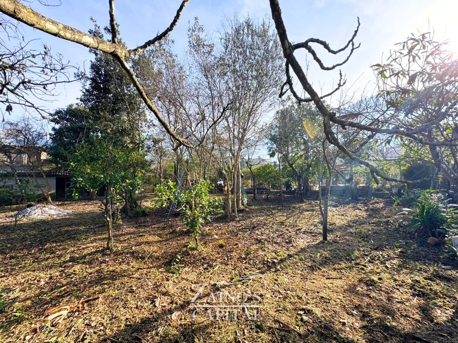 Undeveloped Land for sale in Soller - € 165,000 (Ref: 9533149)