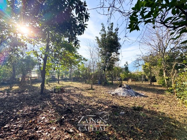 Undeveloped Land for sale in Sóller - € 165,000 (Ref: 9533149)