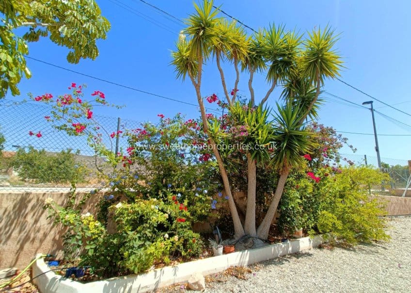 5 chambre Finca/Maison de Campagne à vendre à Abanilla avec piscine - 360 000 € (Ref: 10007734)