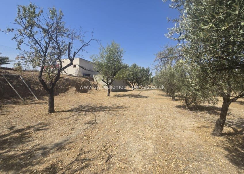 3 Zimmer Finca/Landgut zu verkaufen in Aspe mit Pool Garage - 259.100 € (Ref: 10045847)