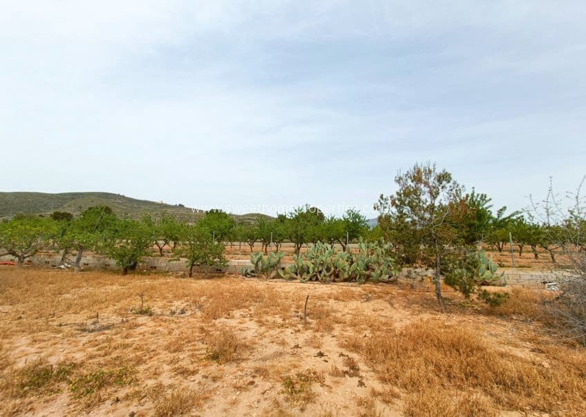 4 chambre Finca/Maison de Campagne à vendre à Hondon de los Frailes avec piscine - 180 000 € (Ref: 10057583)