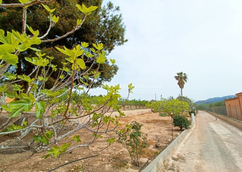 4 chambre Finca/Maison de Campagne à vendre à Hondon de los Frailes avec piscine - 180 000 € (Ref: 10057583)