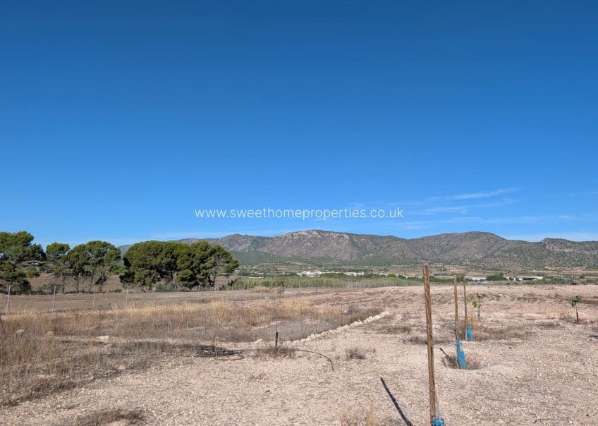 3 sypialnia Finka/Dom wiejski na sprzedaż w Salinas z basenem - 375 000 € (Ref: 10079787)