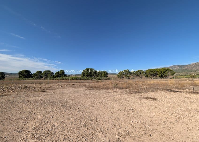 3 sypialnia Finka/Dom wiejski na sprzedaż w Salinas z basenem - 375 000 € (Ref: 10079787)