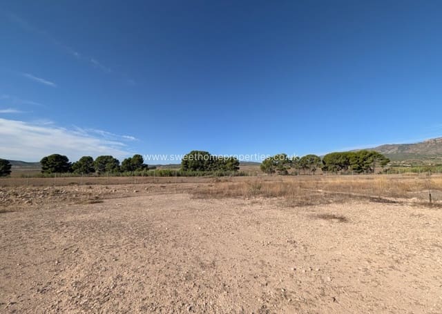 3 soverom Finca/Herregård til salgs i Salinas med svømmebasseng - € 375 000 (Ref: 10079787)
