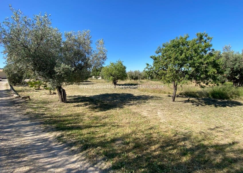 4 camera da letto Finca/Casa di Campagna in vendita in Sax con piscina garage - 239.995 € (Rif: 10098938)