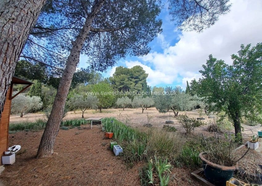 5 camera da letto Finca/Casa di Campagna in vendita in Sax con piscina - 319.995 € (Rif: 10136308)
