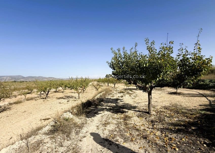 4 soveværelse Finca/Landehus til salg i Pinoso - € 225.000 (Ref: 10160068)