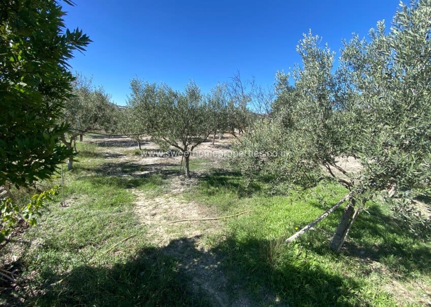 4 bedroom Finca/Country House for sale in Sax with pool garage - € 239,995 (Ref: 10165805)