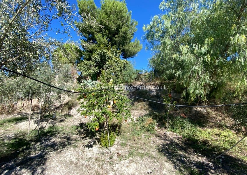 4 bedroom Finca/Country House for sale in Sax with pool garage - € 239,995 (Ref: 10165805)