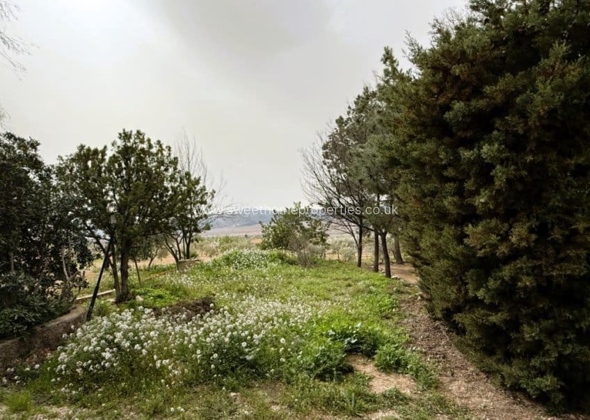 5 soveværelse Finca/Landehus til salg i L'Alguena / Alguenya - € 99.000 (Ref: 10172233)