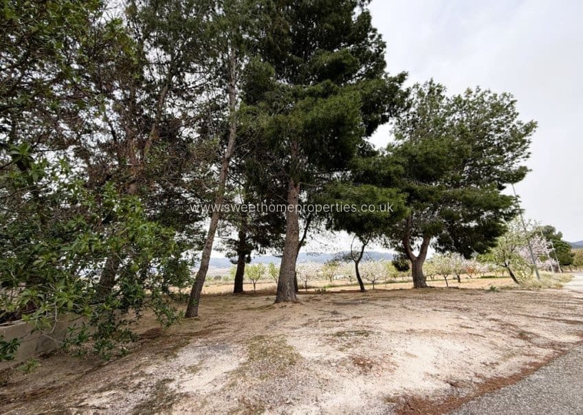 5 soveværelse Finca/Landehus til salg i L'Alguena / Alguenya - € 99.000 (Ref: 10172233)