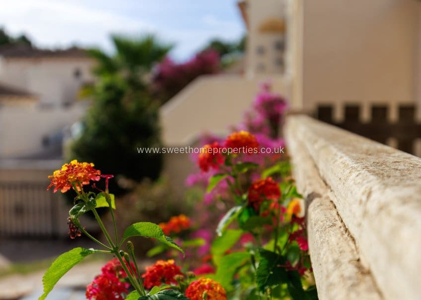 3 bedroom Villa for sale in Las Ramblas Golf with pool garage - € 269,000 (Ref: 10182194)